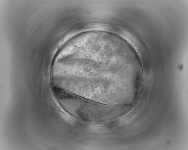 X0000093571477200711051047
