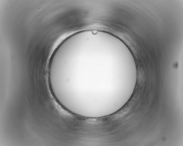 X0000093571478200711051047