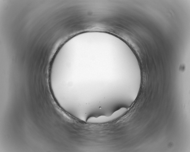 X0000093571480200711051047