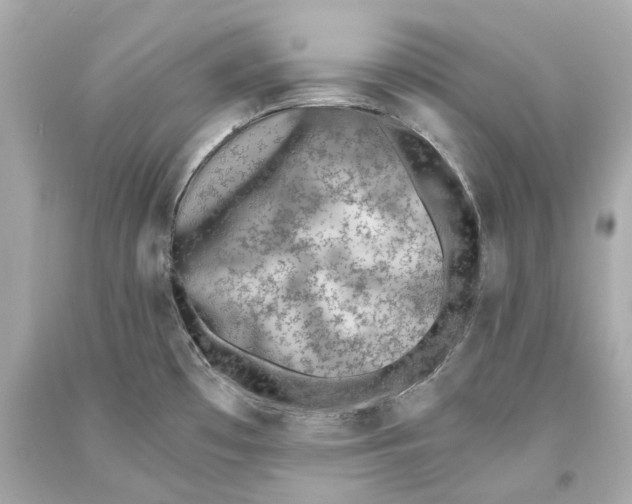 X0000093571481200711051047
