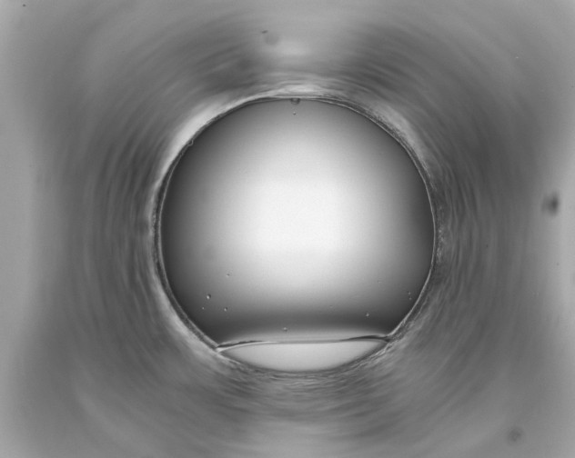 X0000093571483200711051047