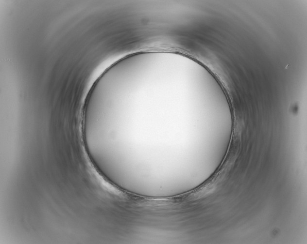 X0000093571486200711051047