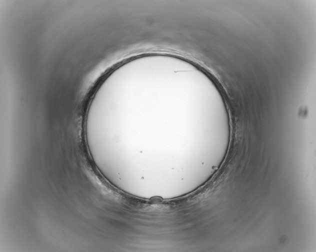 X0000093571503200711051047