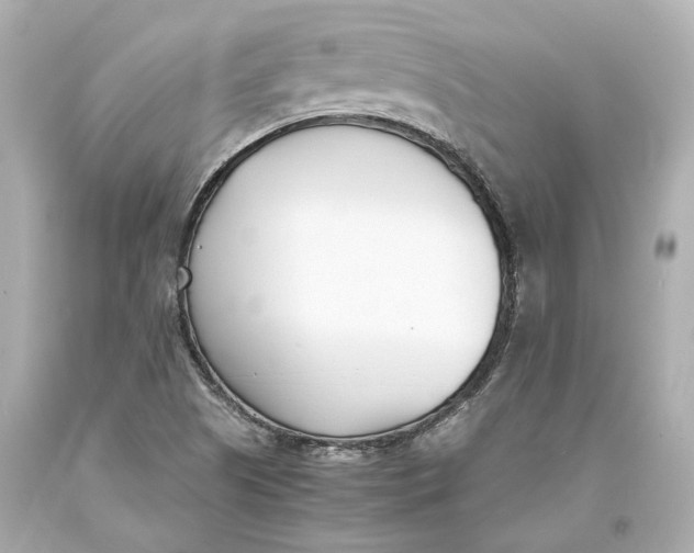 X0000093571505200711051047