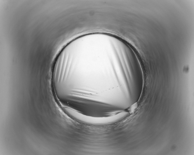 X0000093571508200711051047