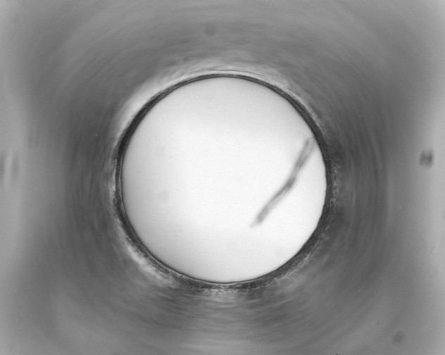 X0000093571511200711051047