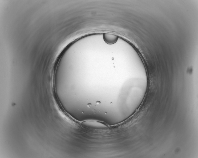 X0000093571515200711051047