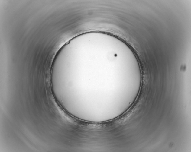 X0000093571521200711051047