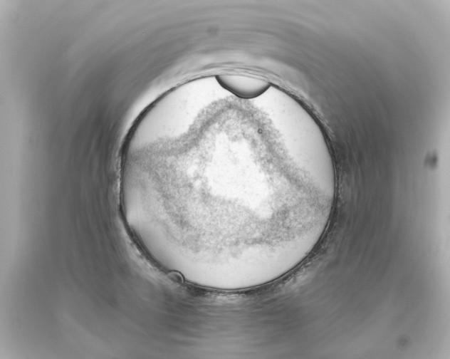 X0000093571522200711051047