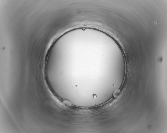 X0000093571525200711051047