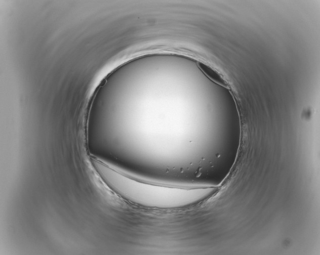 X0000093571530200711051047