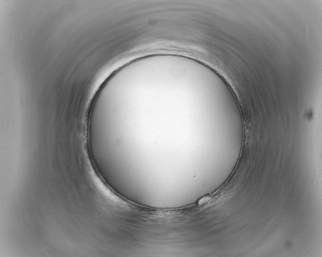 X0000093571531200711051047