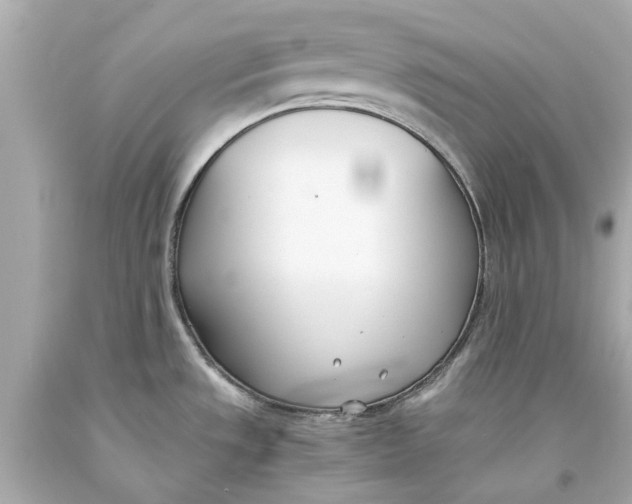X0000093571533200711051047