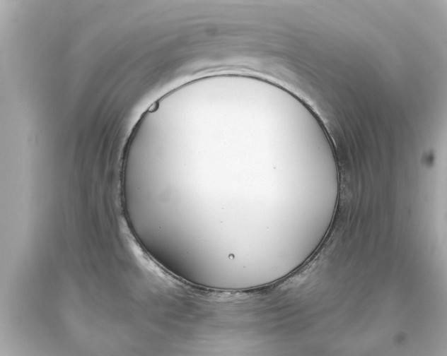 X0000093571534200711051047