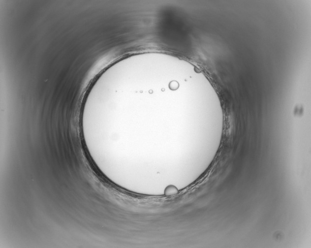 X0000093570004200711121048