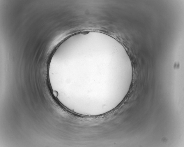 X0000093570005200711121048