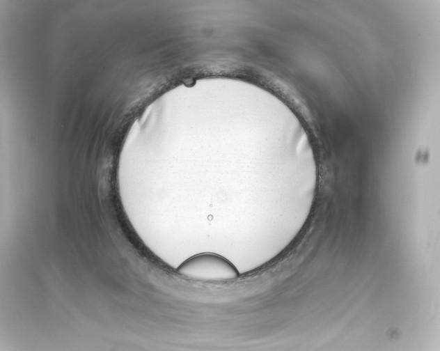 X0000093570018200711121048