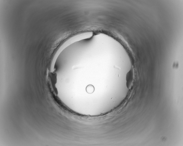 X0000093570019200711121048