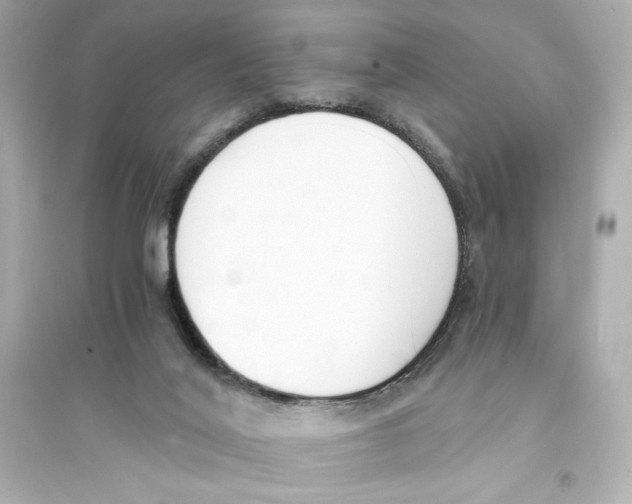 X0000093570020200711121048