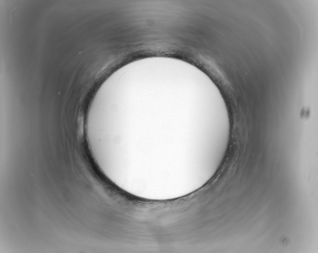 X0000093570021200711121048