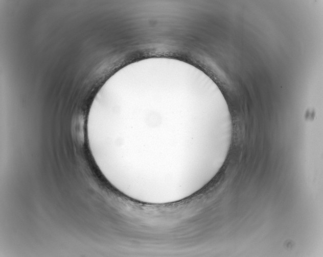 X0000093570022200711121048