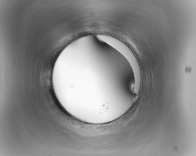 X0000093570023200711121048