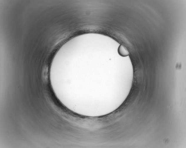 X0000093570024200711121048