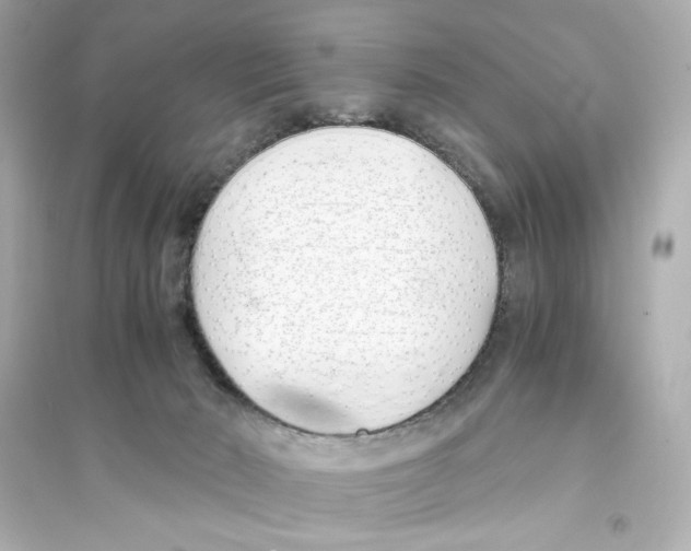 X0000093570030200711121048