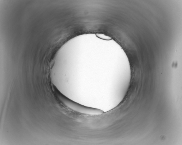 X0000093570033200711121048
