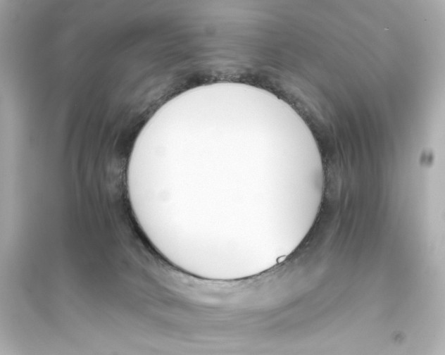 X0000093570034200711121048