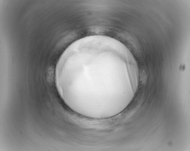 X0000093570036200711121047