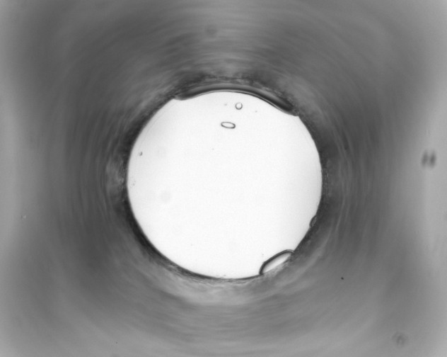 X0000093570040200711121047