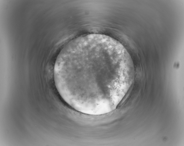 X0000093570043200711121047