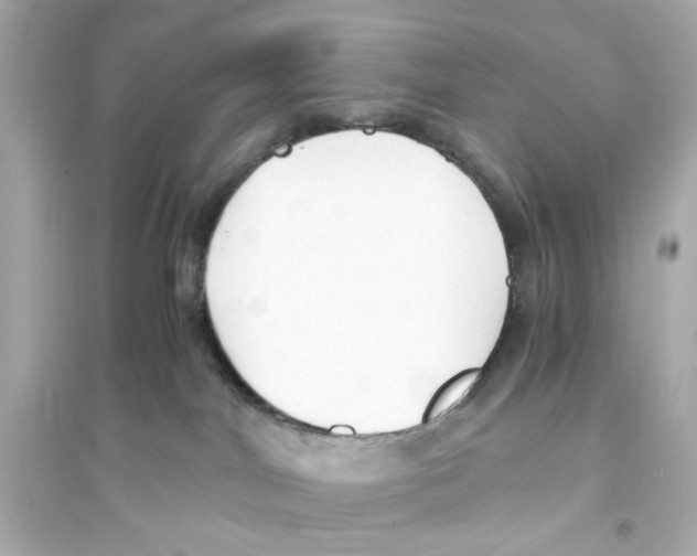 X0000093570044200711121047