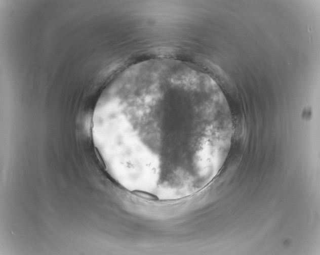 X0000093570047200711121047