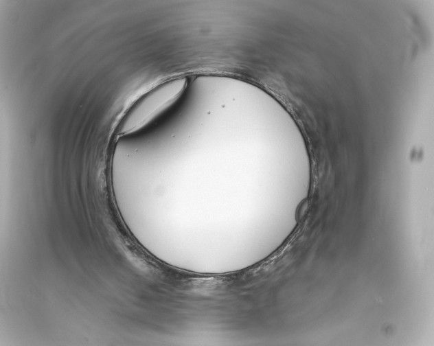 X0000093570050200711121047
