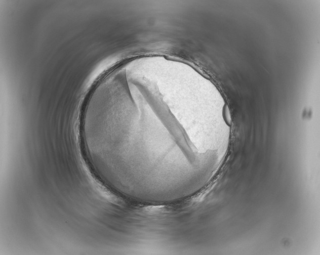 X0000093570054200711121047