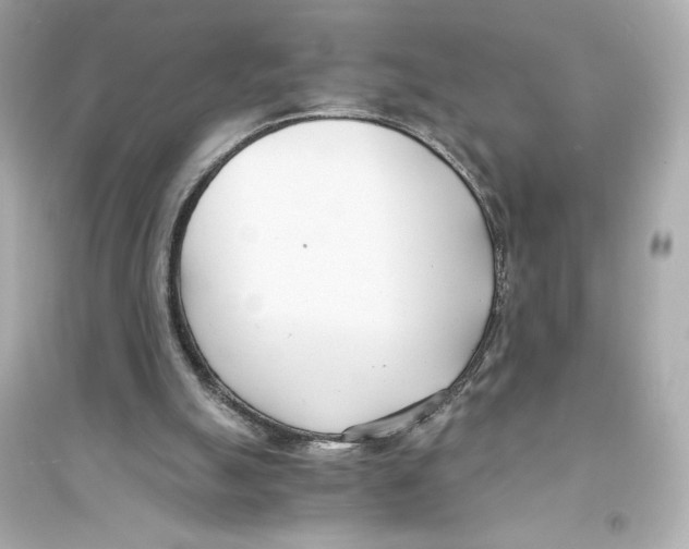 X0000093570055200711121047