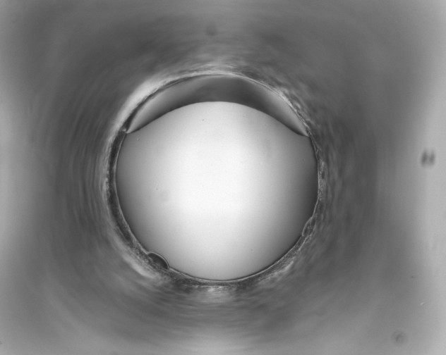 X0000093570056200711121047