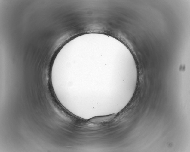 X0000093570059200711121047
