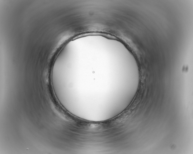 X0000093570060200711121047