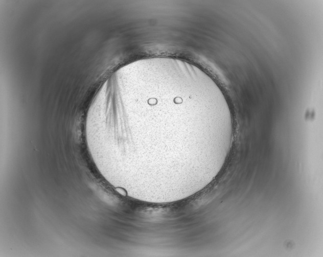 X0000093570065200711121047