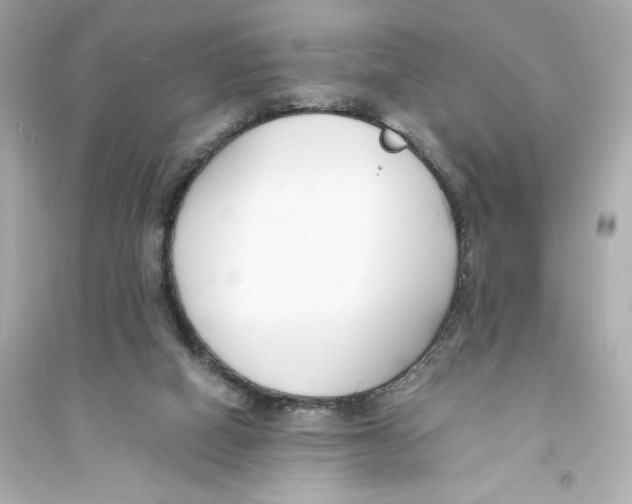 X0000093570066200711121047