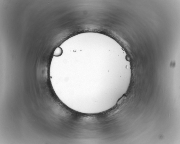 X0000093570067200711121047