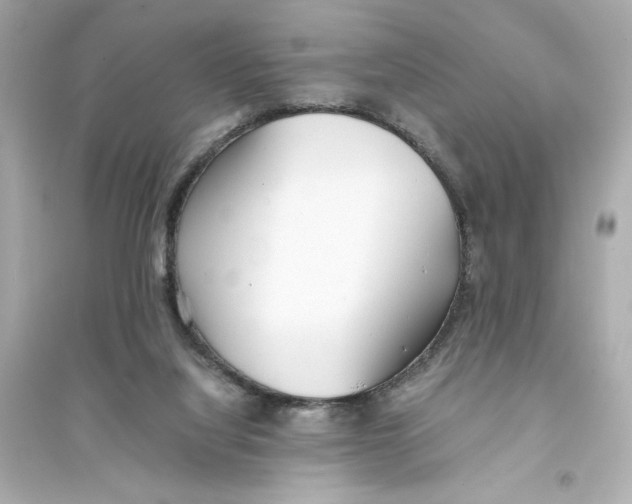 X0000093570068200711121047