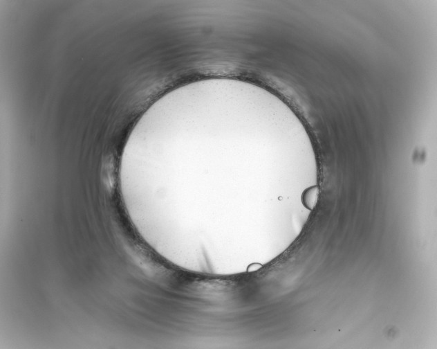 X0000093570069200711121047