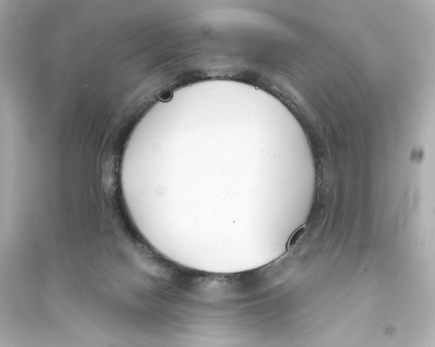 X0000093570074200711121047