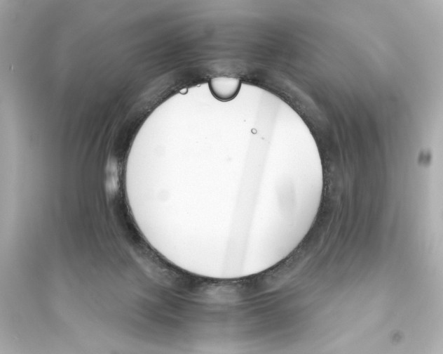 X0000093570075200711121047