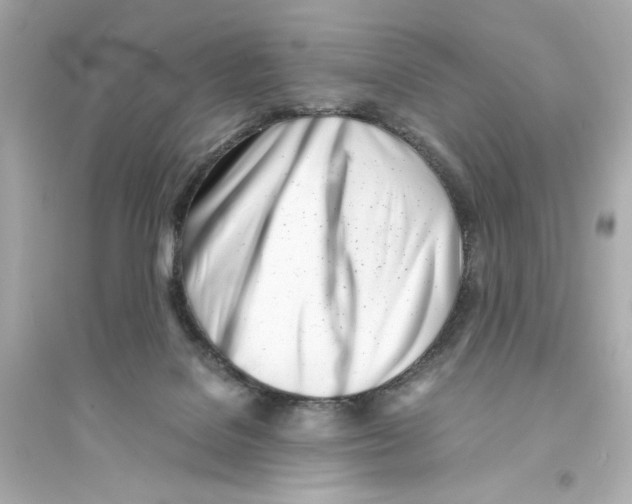 X0000093570076200711121047