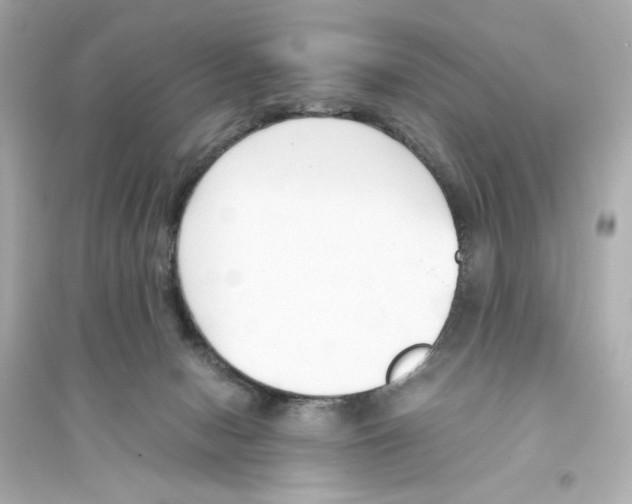 X0000093570078200711121047